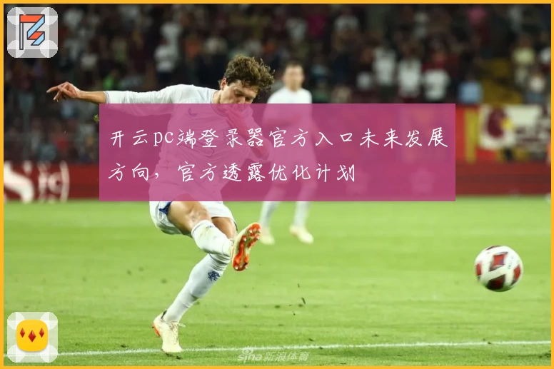 开云pc端登录器官方入口未来发展方向，官方透露优化计划