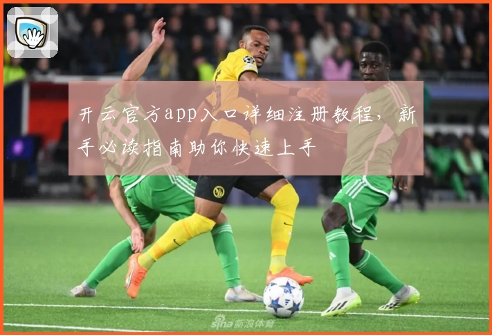 开云官方app入口详细注册教程，新手必读指南助你快速上手