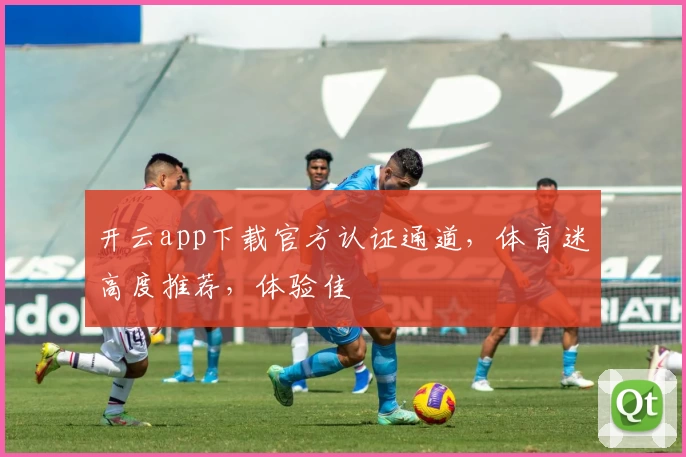 开云app下载官方认证通道,体育迷高度推荐,体验佳