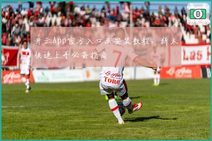 开云App官方入口及安装教程，新人快速上手必备指南